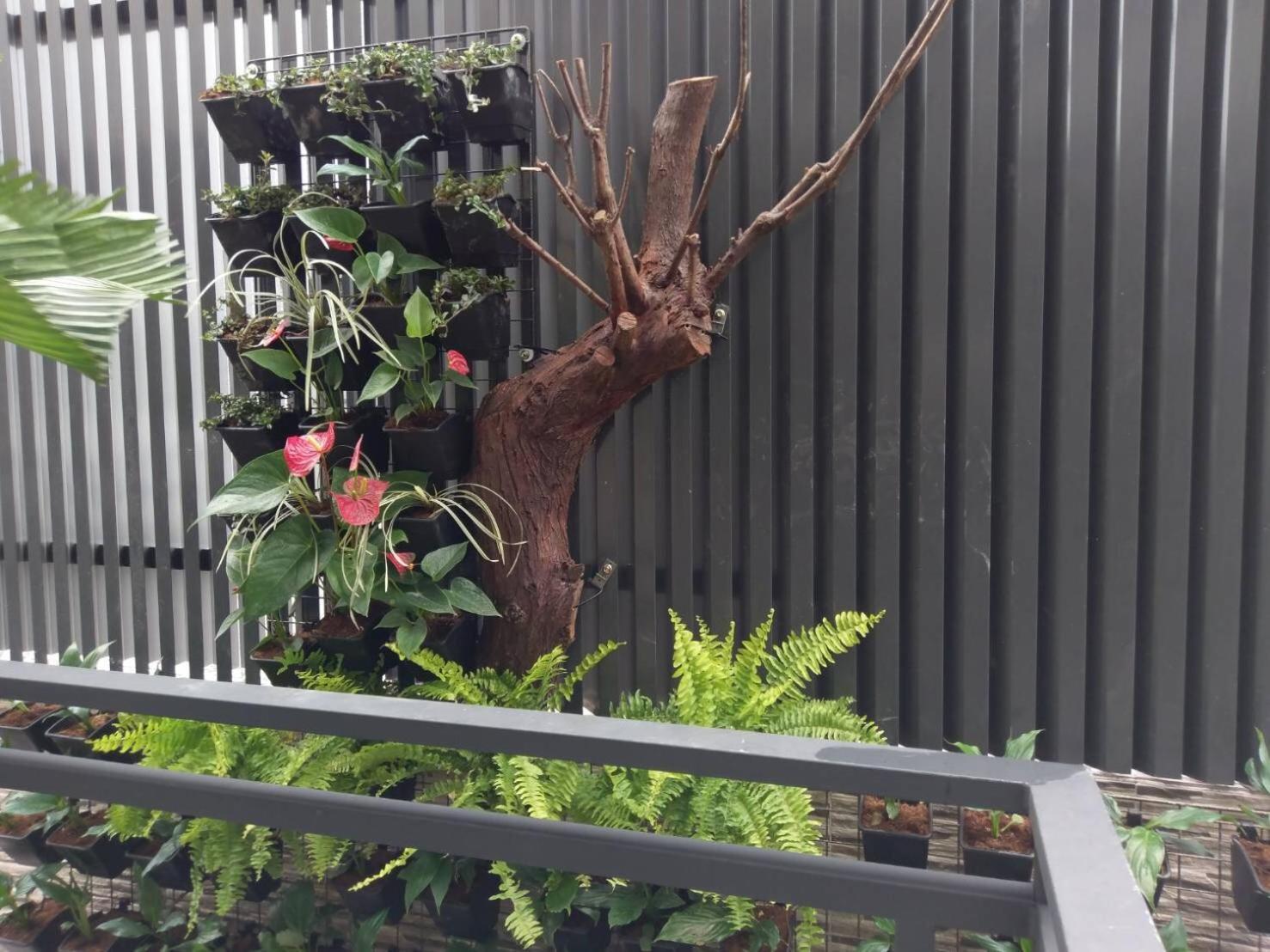 Yuan Places Taitung Exterior foto